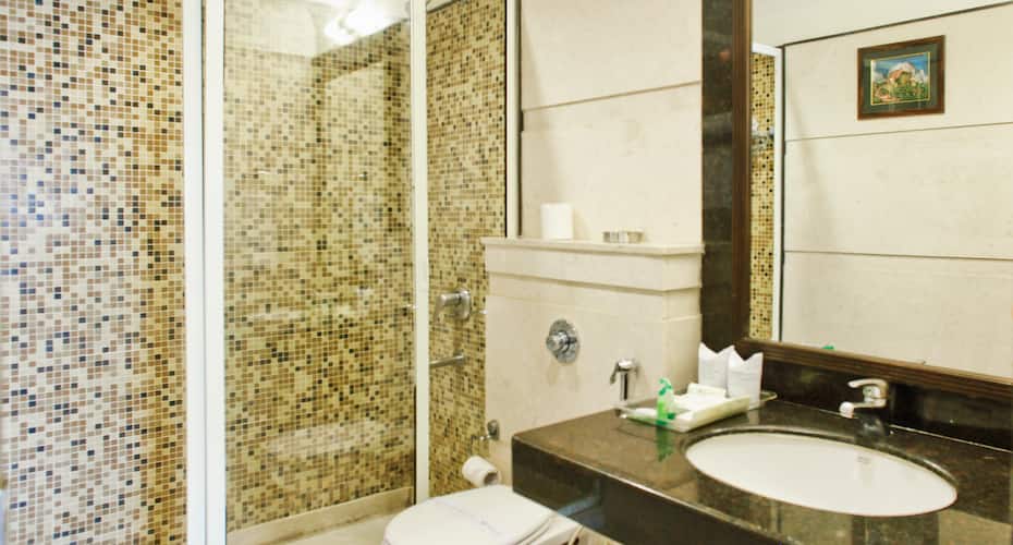 Hotel Parkland - Safdarjung Enclave, Manali 5